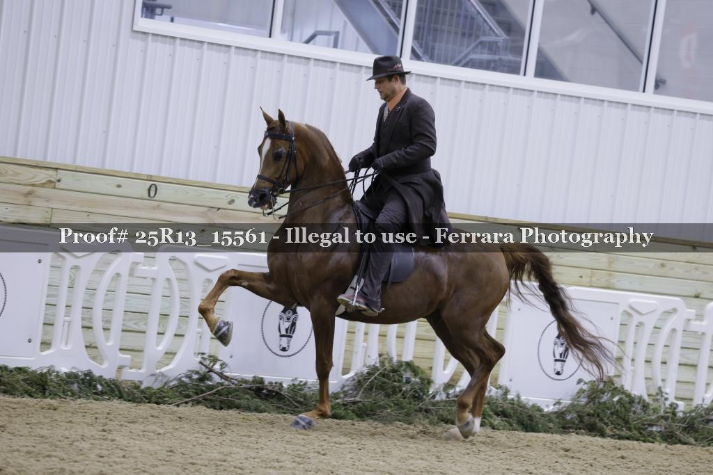 Proof 25R13_15561