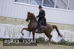 25R13_15561 proof