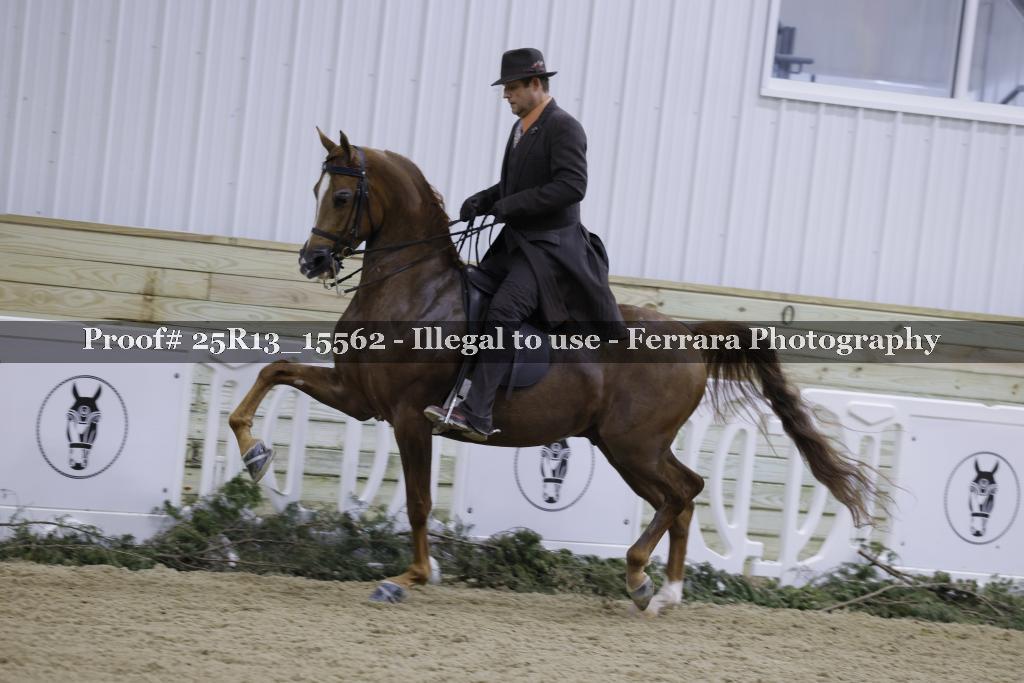 Proof 25R13_15562