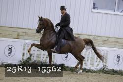 25R13_15562 proof
