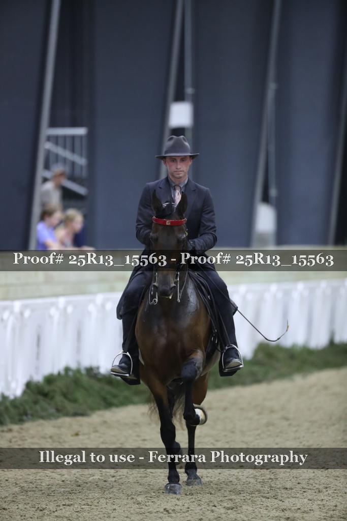Proof 25R13_15563