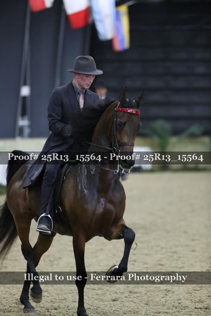 Proof 25R13_15564