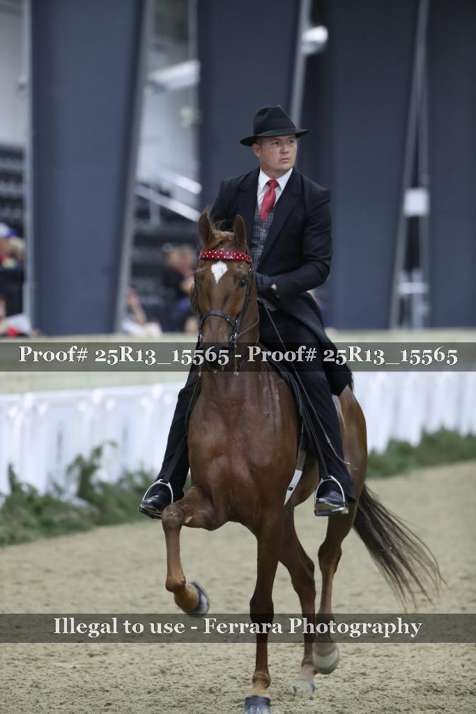 Proof 25R13_15565