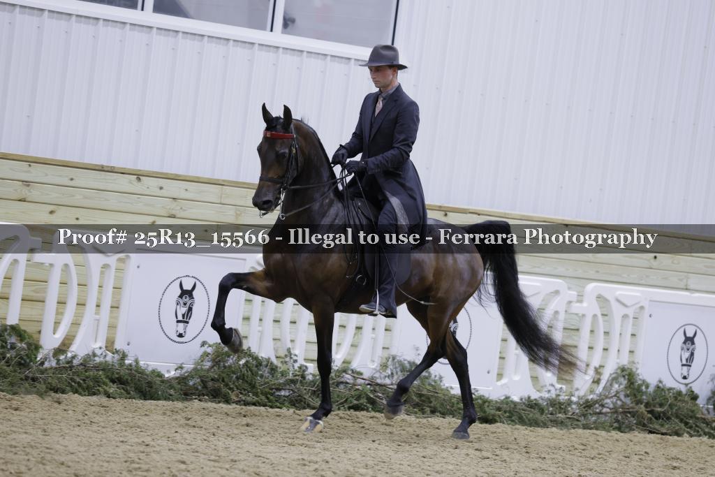 Proof 25R13_15566