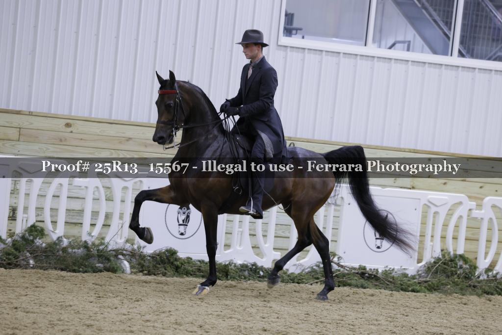 Proof 25R13_15567