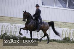 25R13_15567 proof