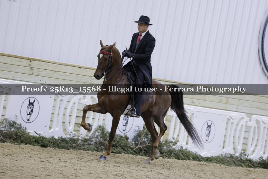 Proof 25R13_15568