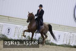 25R13_15568 proof