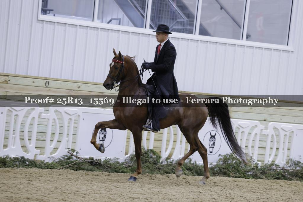 Proof 25R13_15569