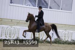 25R13_15569 proof