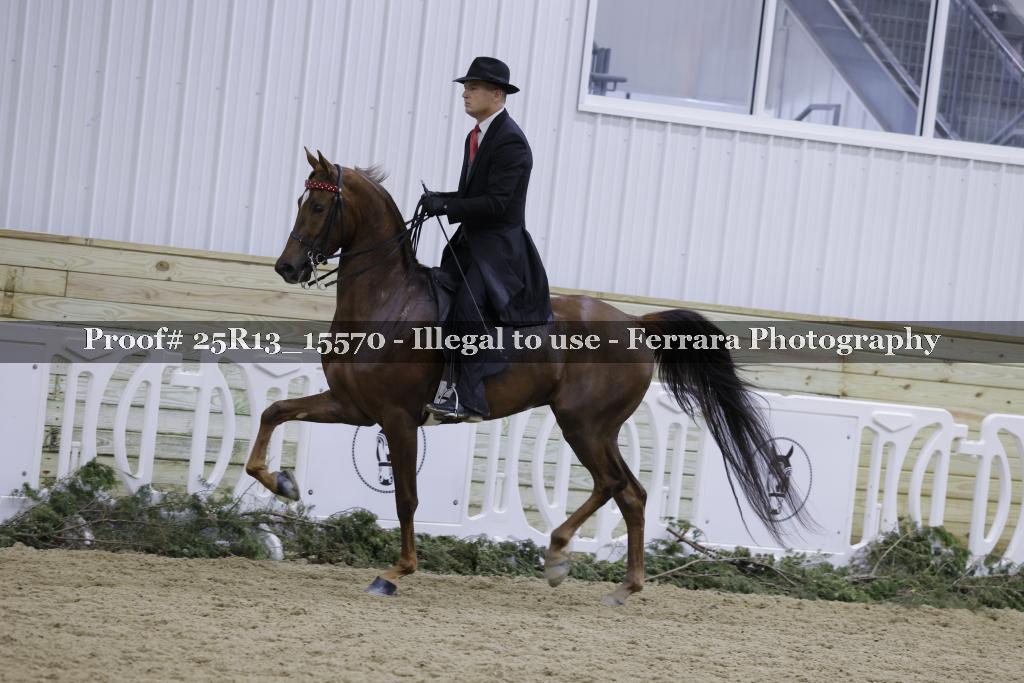 Proof 25R13_15570