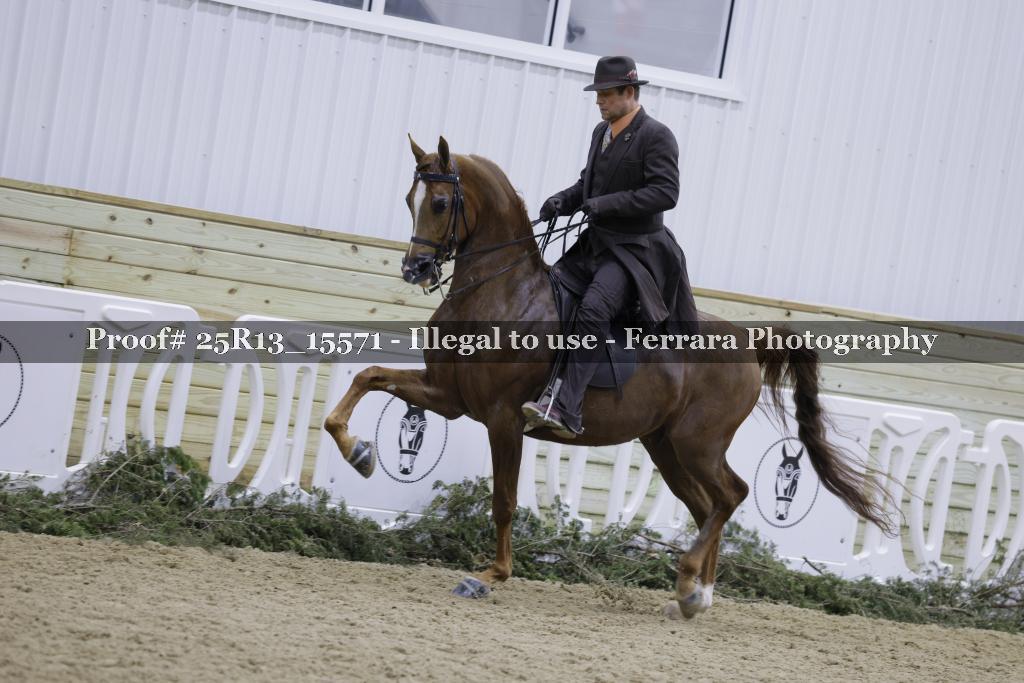 Proof 25R13_15571