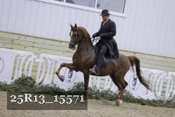 25R13_15571 proof