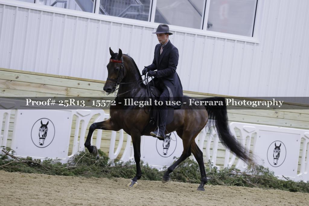 Proof 25R13_15572