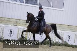 25R13_15572 proof