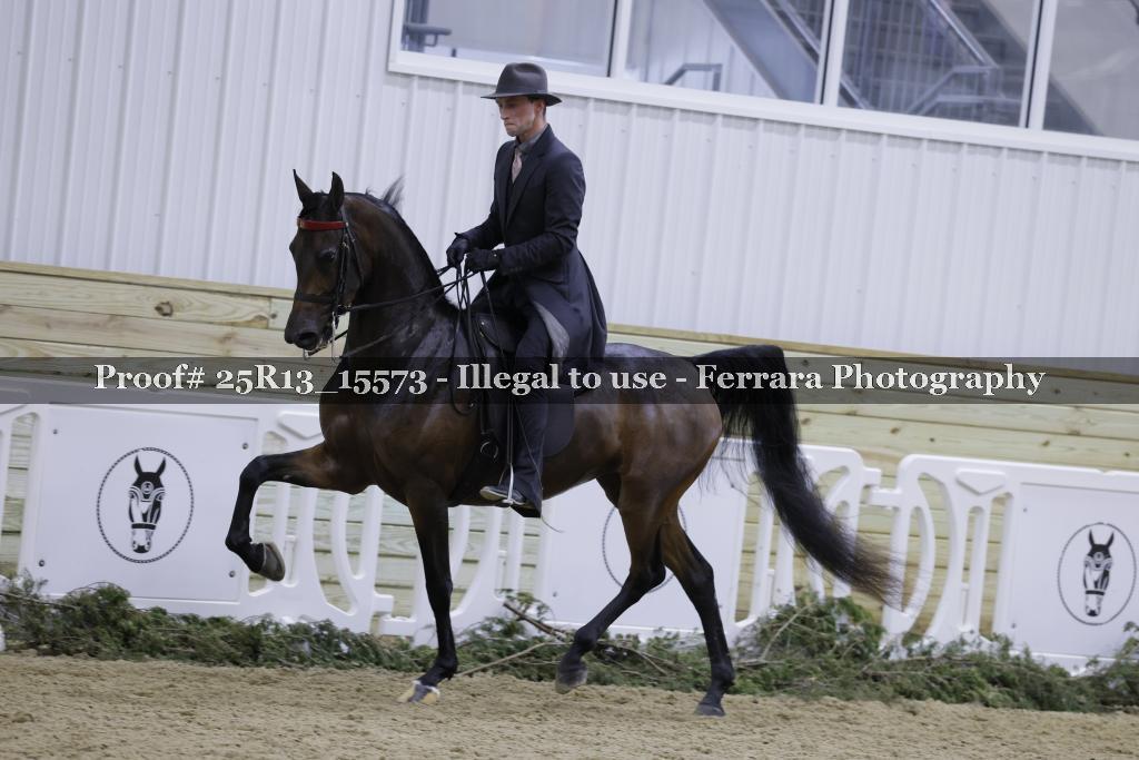 Proof 25R13_15573