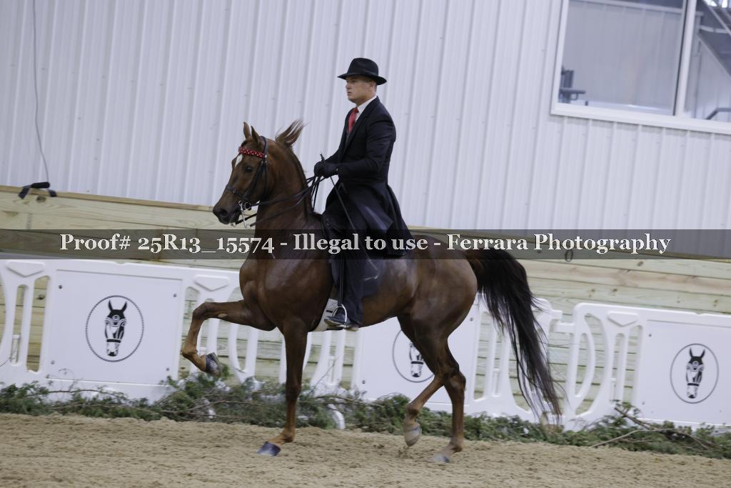 Proof 25R13_15574