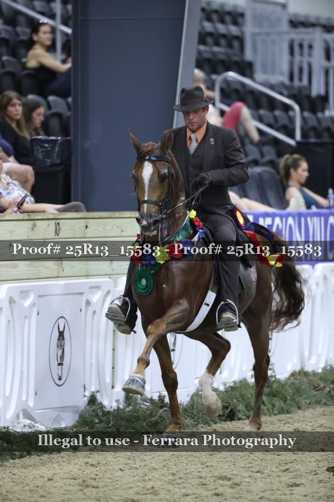 Proof 25R13_15583