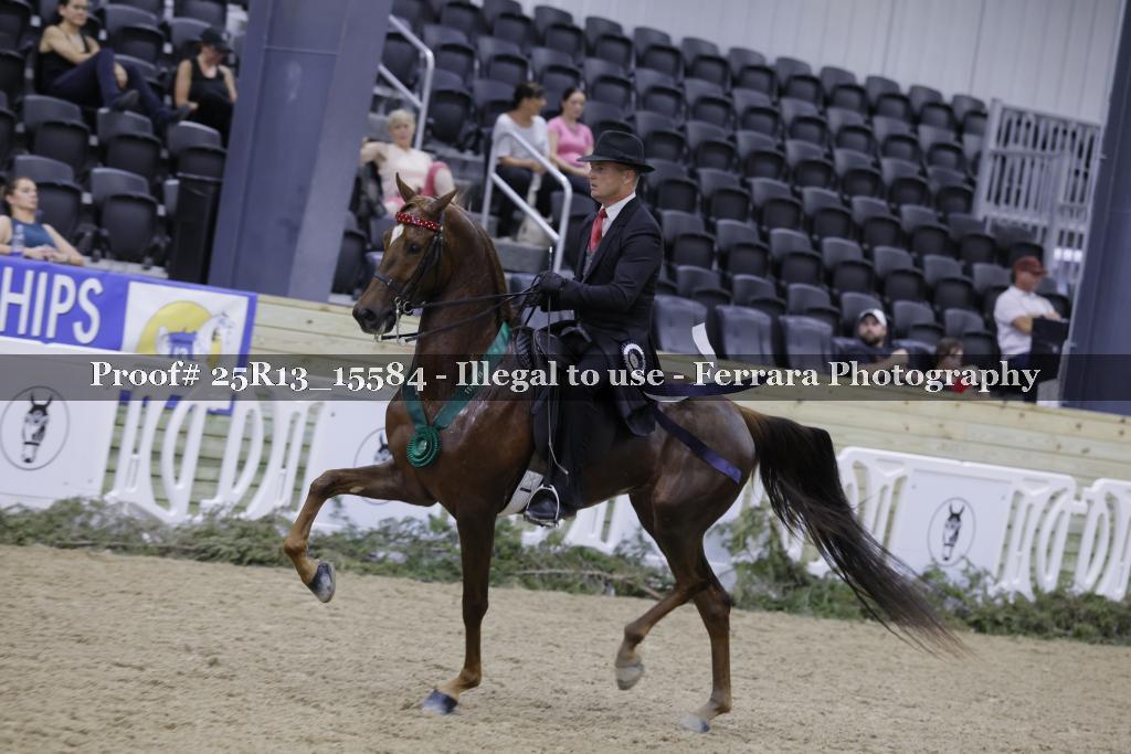 Proof 25R13_15584
