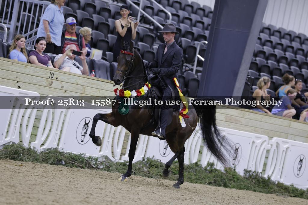 Proof 25R13_15587