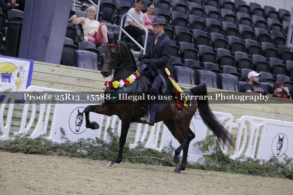 Proof 25R13_15588