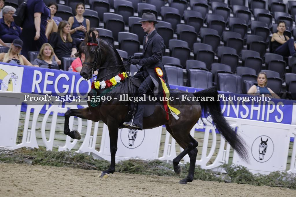 Proof 25R13_15590