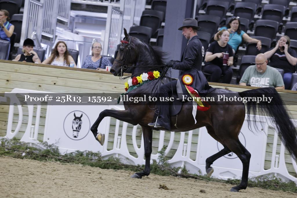Proof 25R13_15592