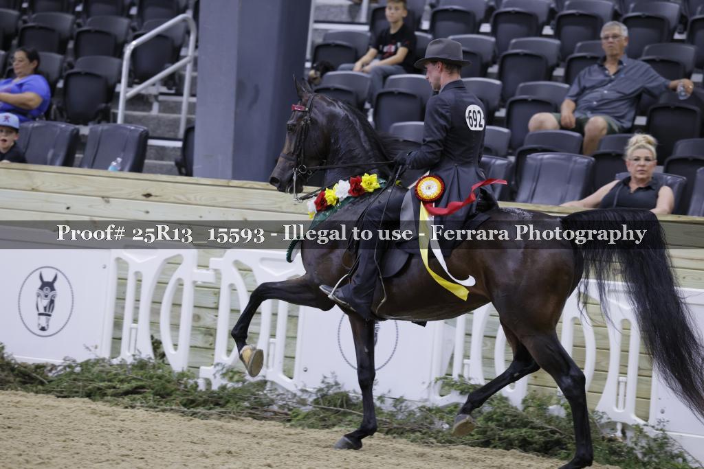 Proof 25R13_15593