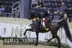 25R13_15593 proof