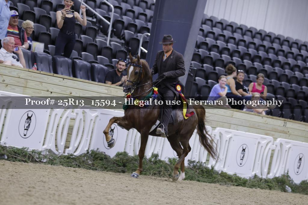 Proof 25R13_15594