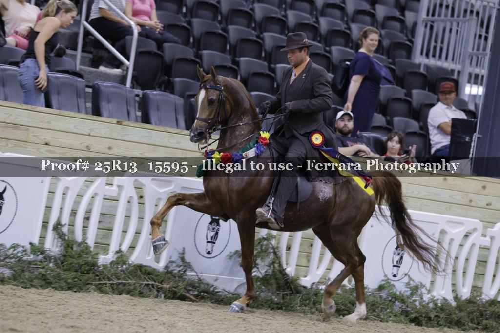 Proof 25R13_15595