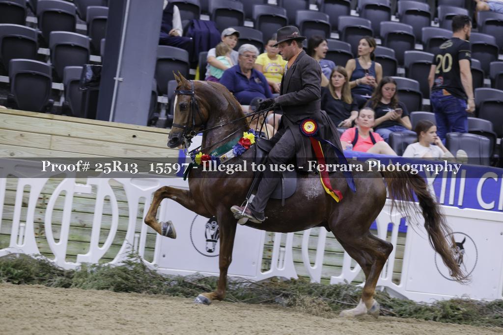 Proof 25R13_15597