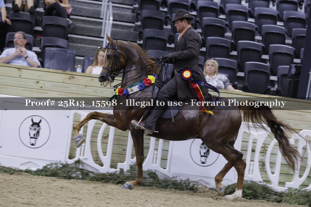 Proof 25R13_15598