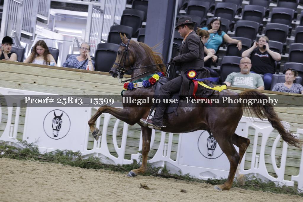 Proof 25R13_15599