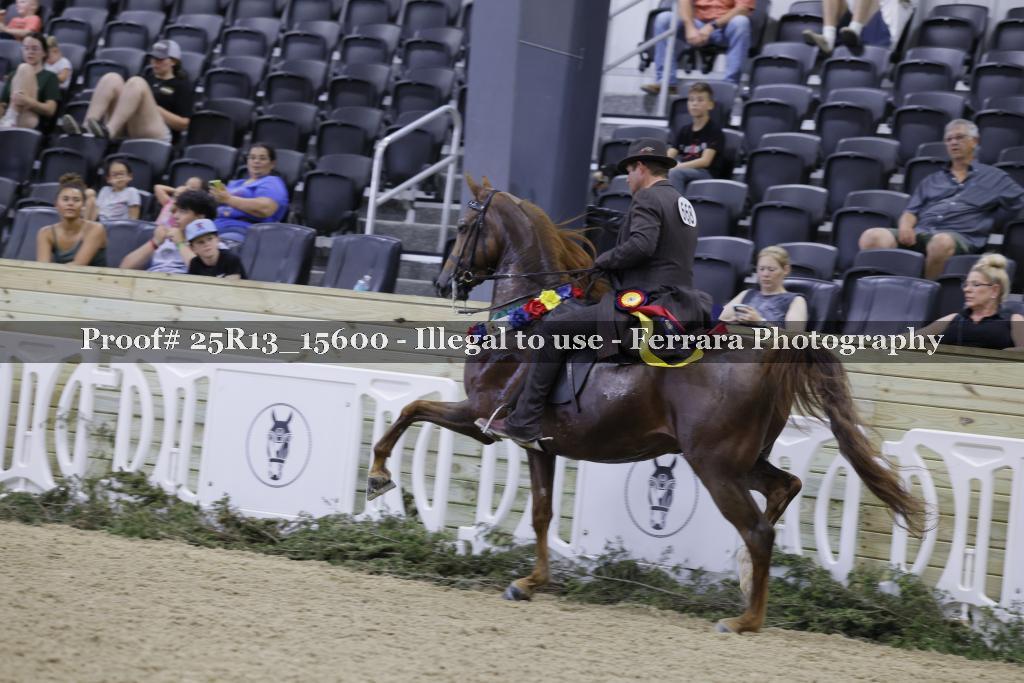 Proof 25R13_15600