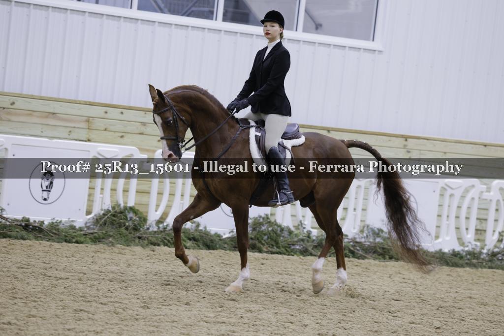 Proof 25R13_15601
