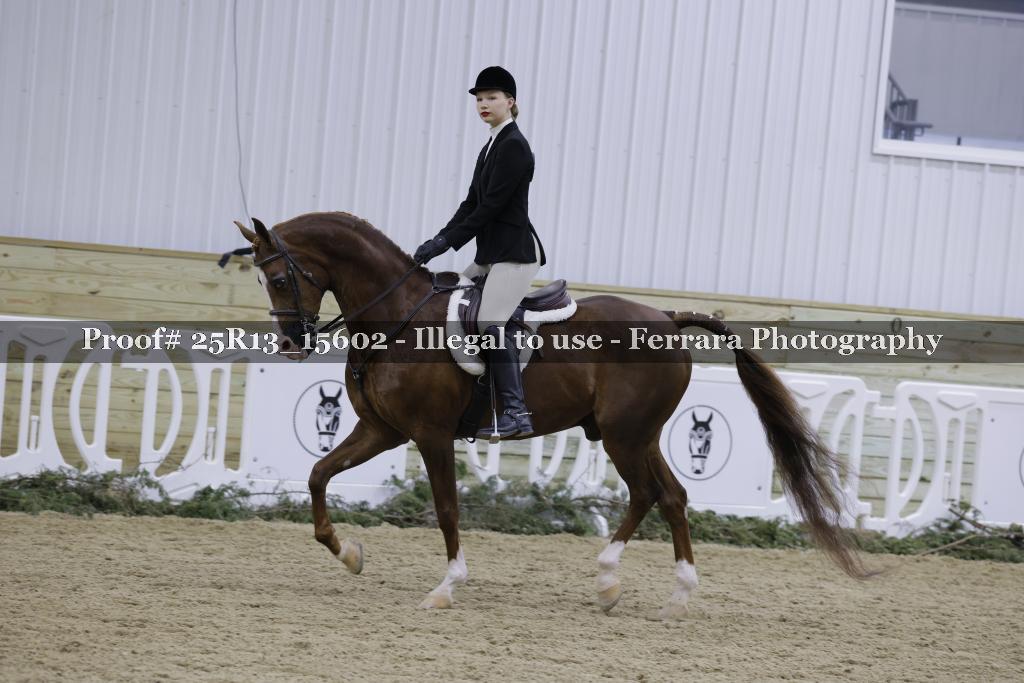 Proof 25R13_15602