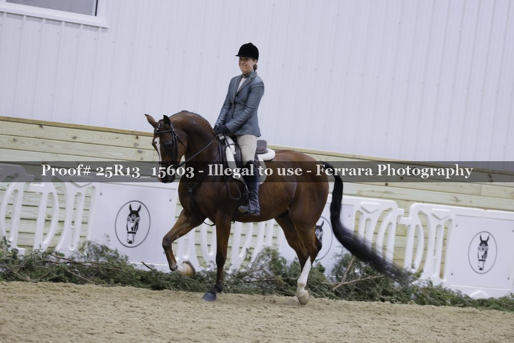 Proof 25R13_15603