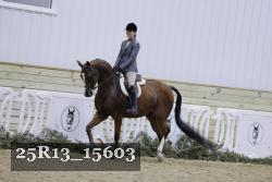 25R13_15603 proof