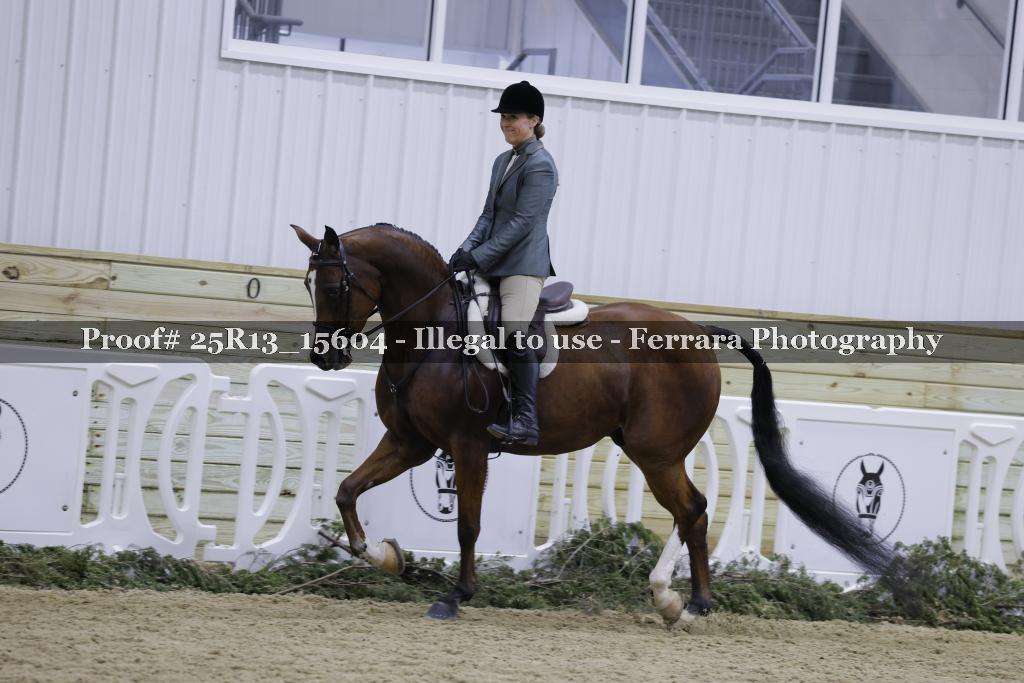 Proof 25R13_15604