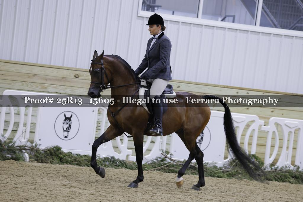 Proof 25R13_15605