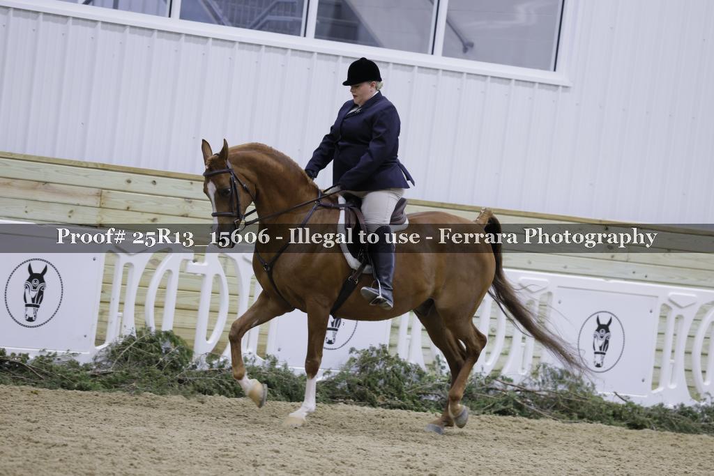 Proof 25R13_15606