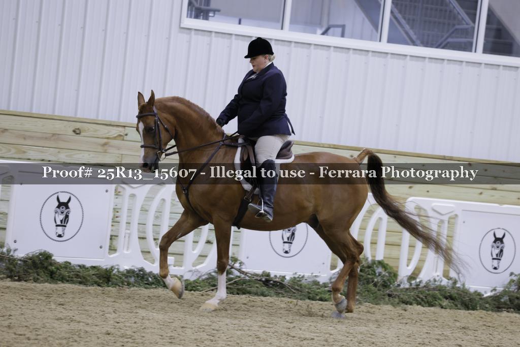 Proof 25R13_15607