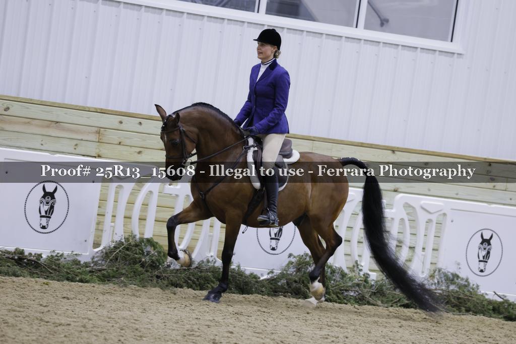 Proof 25R13_15608