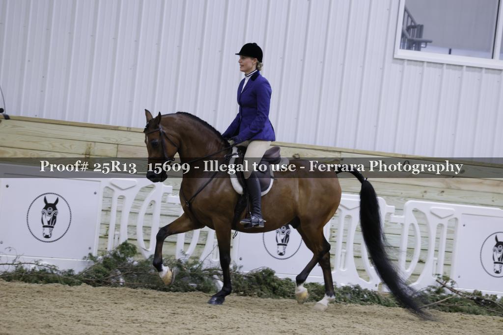 Proof 25R13_15609