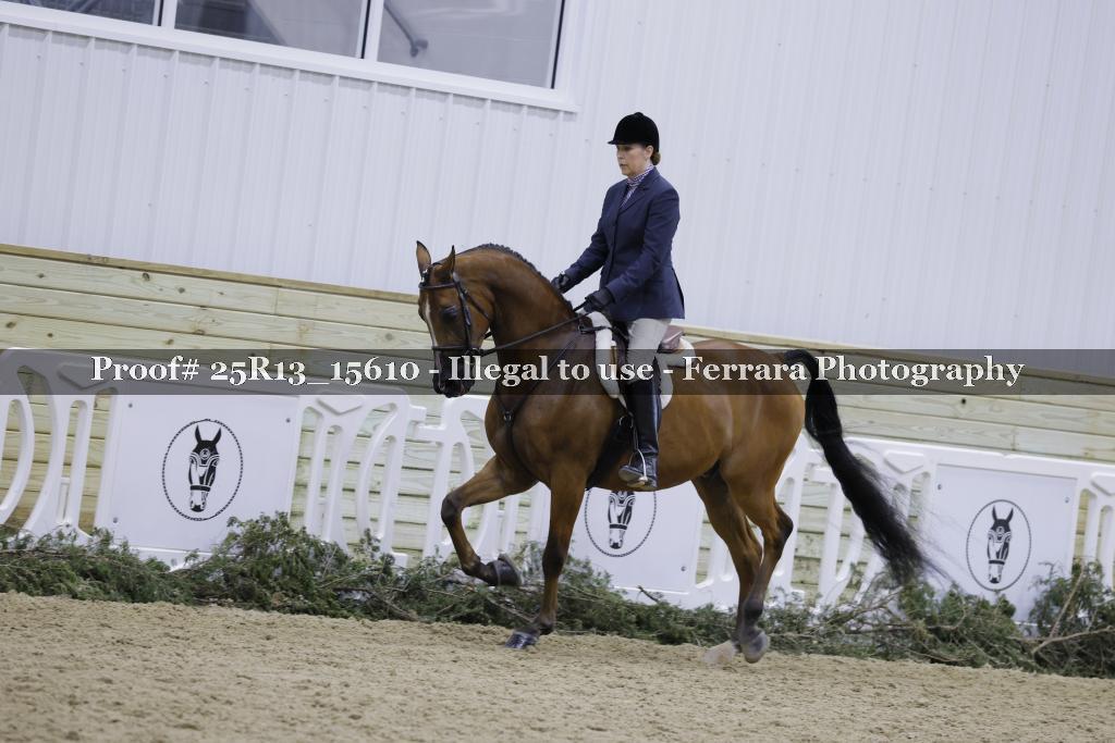 Proof 25R13_15610