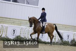 25R13_15610 proof