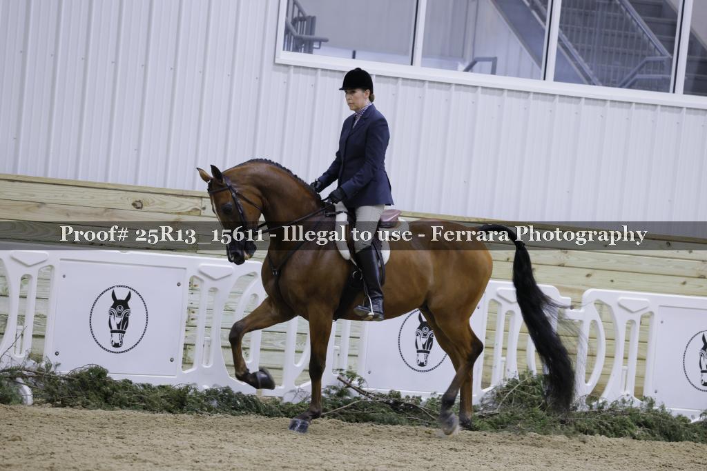 Proof 25R13_15611