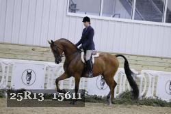 25R13_15611 proof