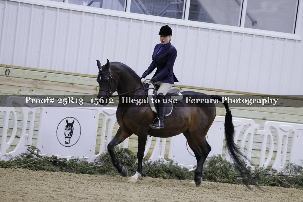 Proof 25R13_15612